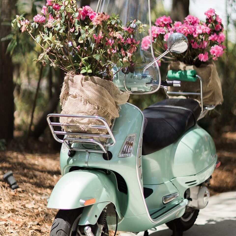 North Carolina Azalea Festival